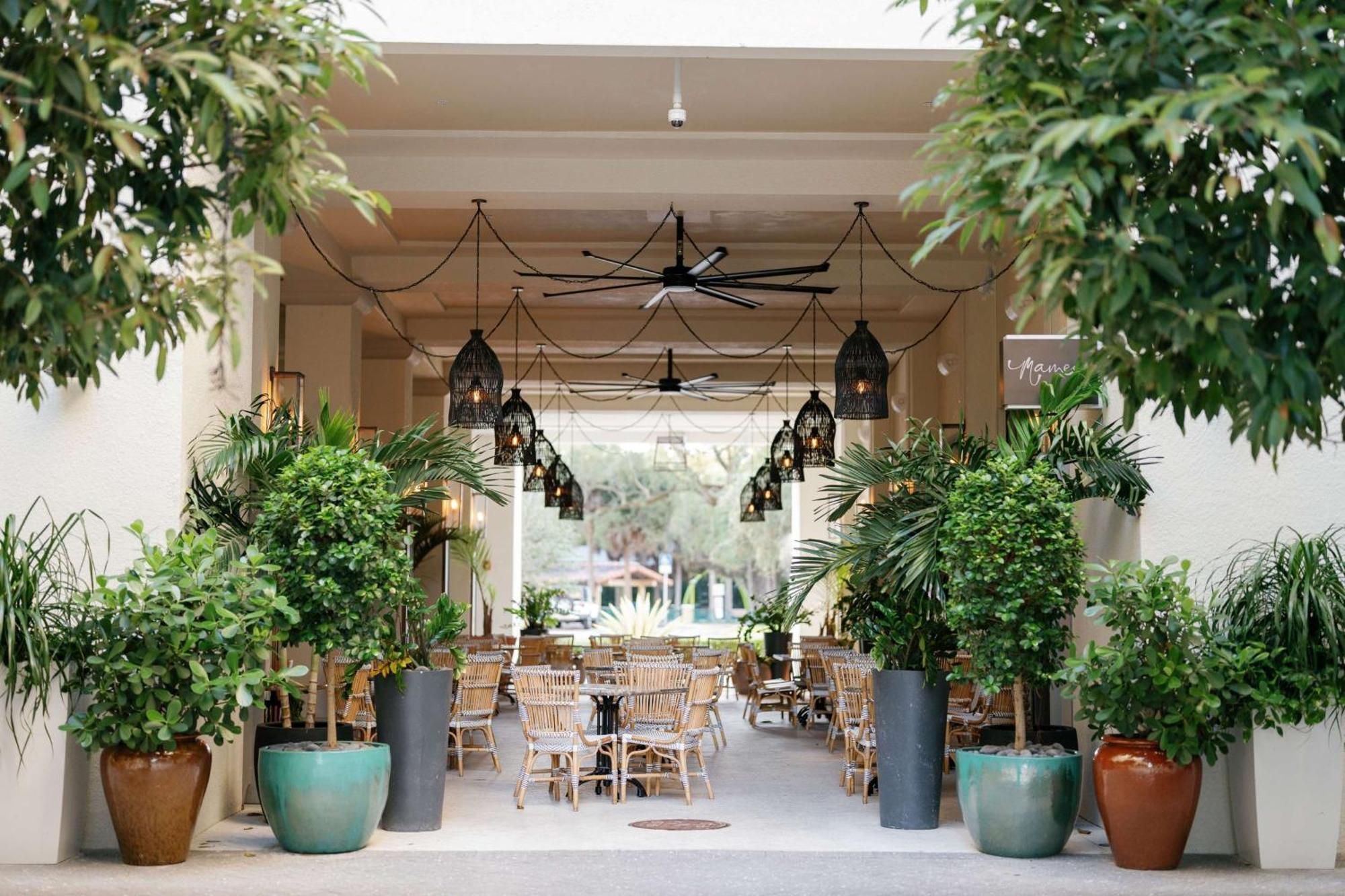 Thesis Hotel Miami Coral Gables, Curio Collection By Hilton Ngoại thất bức ảnh