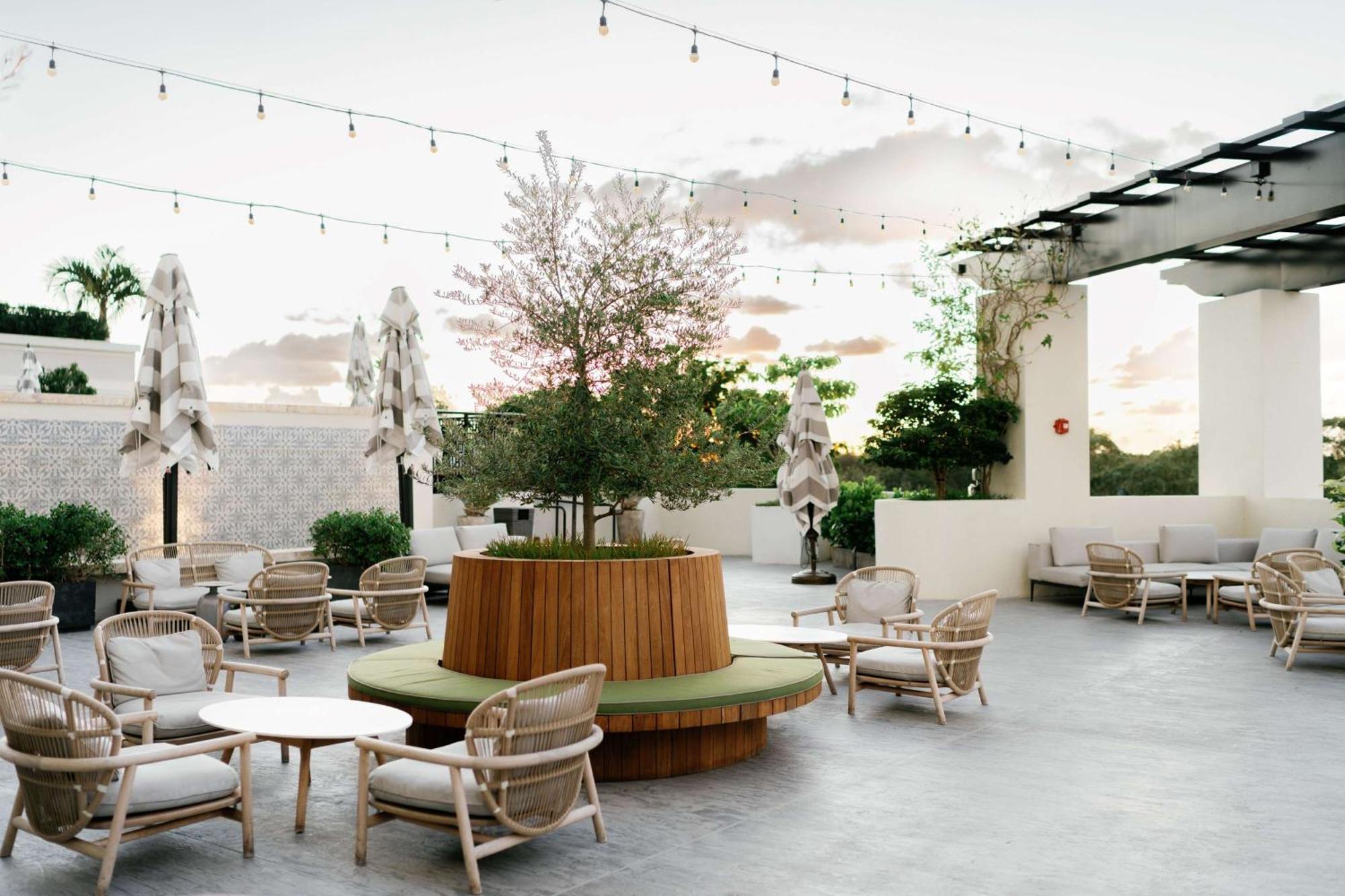 Thesis Hotel Miami Coral Gables, Curio Collection By Hilton Ngoại thất bức ảnh
